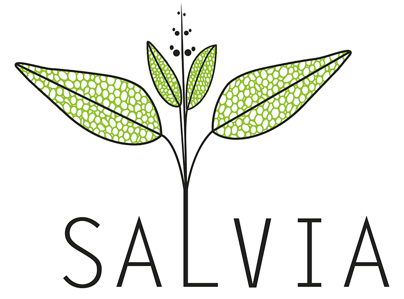 Salvia GMOs gene editing KGOOF project